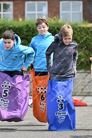 Tandragee PS-14