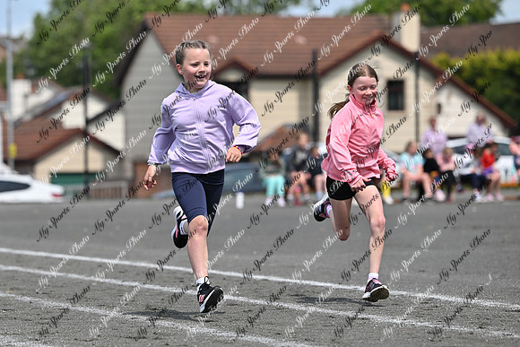 Tandragee PS-31