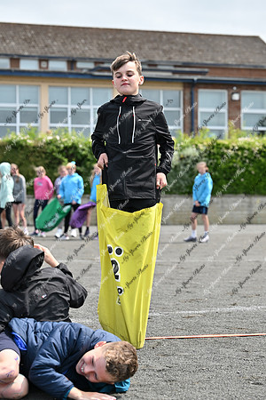 Tandragee PS-19