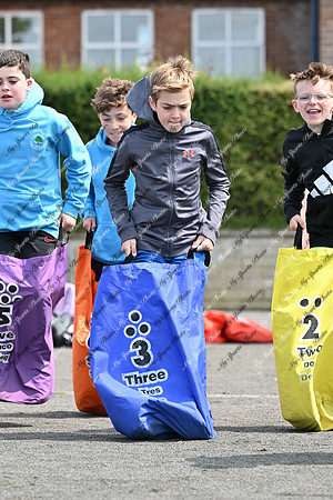 Tandragee PS-15