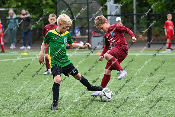 Loughgall U7's Toutnament 2025-374