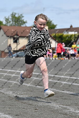 Tandragee PS-66