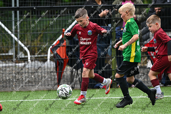 Loughgall U7's Toutnament 2025-405