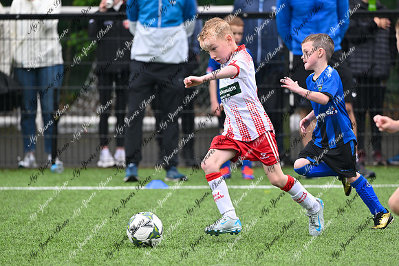 Loughgall U7's Toutnament 2025-237