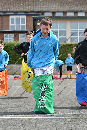 Tandragee PS-17