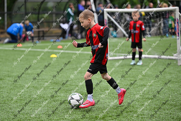 Loughgall U7's Toutnament 2025-461