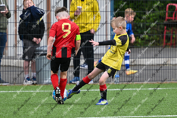 Loughgall U8's Toutnament 2025-12
