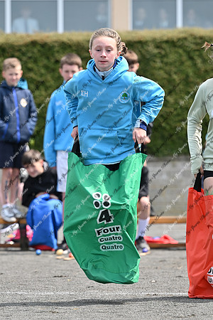 Tandragee PS-4