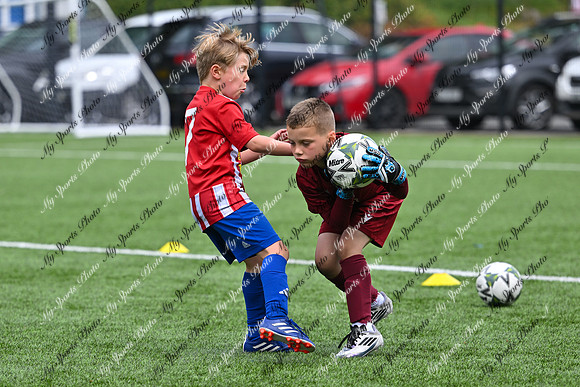 Loughgall U7's Toutnament 2025-586