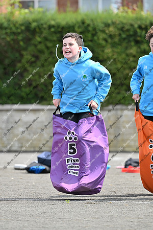 Tandragee PS-12