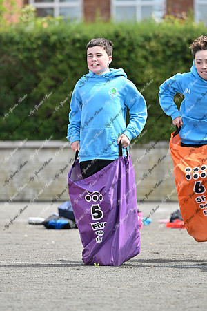 Tandragee PS-13