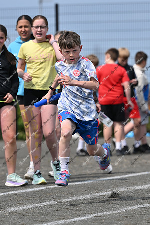 Tandragee PS-261