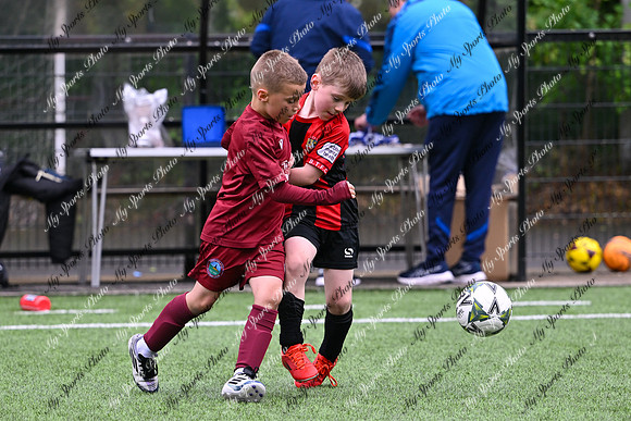 Loughgall U7's Toutnament 2025-443