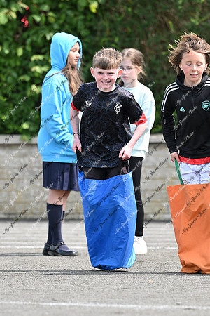 Tandragee PS-8