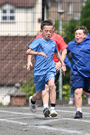 Tandragee PS-44
