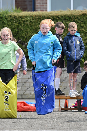 Tandragee PS-3