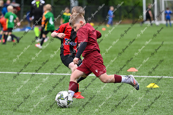 Loughgall U7's Toutnament 2025-480