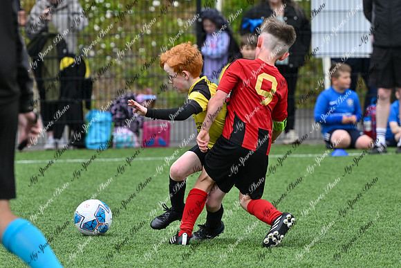 Loughgall U8's Toutnament 2025-20