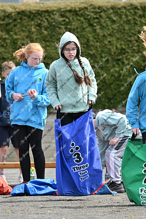 Tandragee PS-21