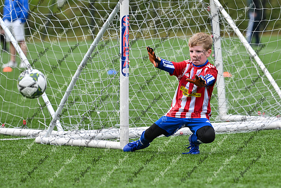 Loughgall U7's Toutnament 2025-591