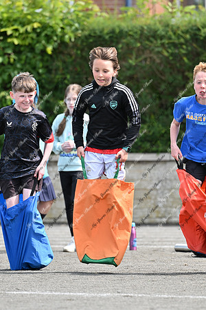 Tandragee PS-10