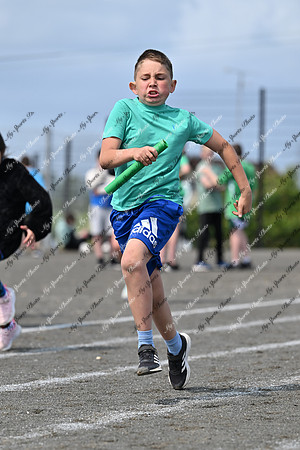 Tandragee PS-251