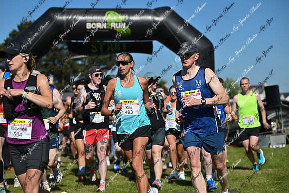 The Coast Half 2025-29