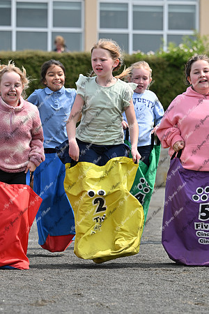 Tandragee PS-81
