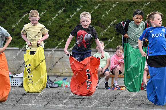 Tandragee PS-135