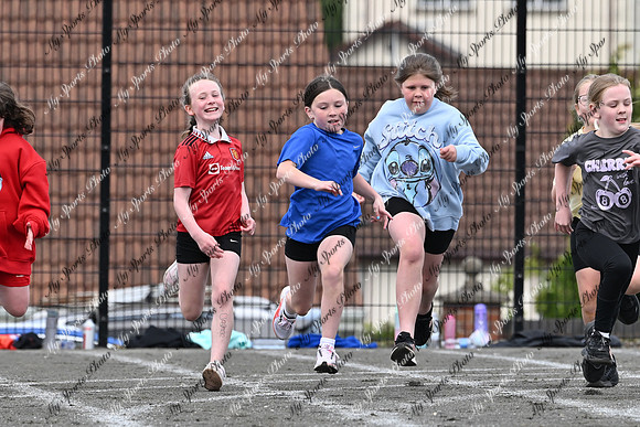 Tandragee PS-114