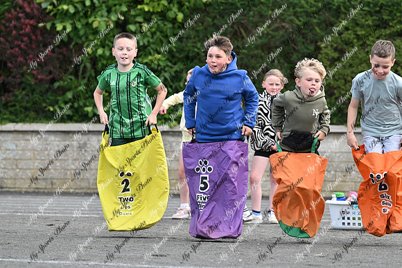 Tandragee PS-133