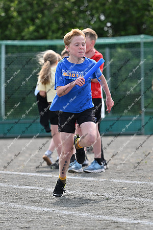 Tandragee PS-341