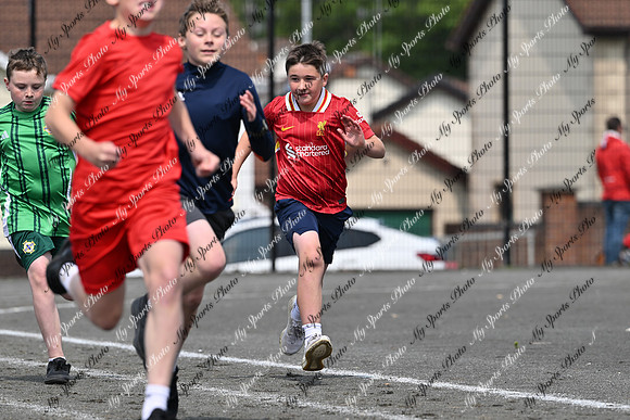 Tandragee PS-185