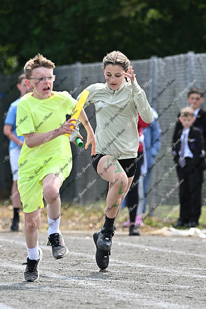 Tandragee PS-340