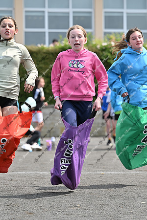 Tandragee PS-6