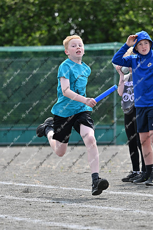 Tandragee PS-321