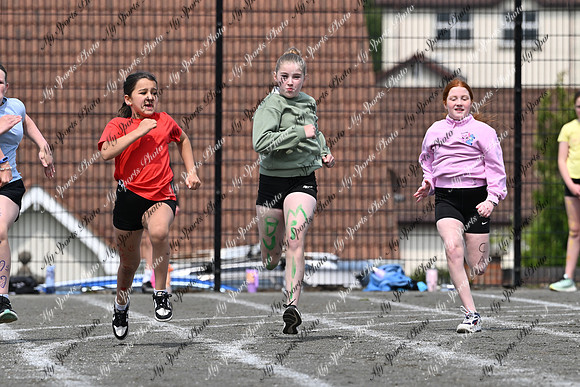 Tandragee PS-199
