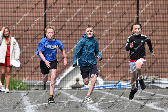 Tandragee PS-219