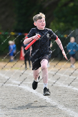 Tandragee PS-353