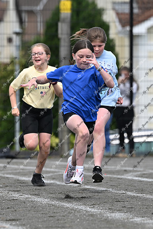 Tandragee PS-100