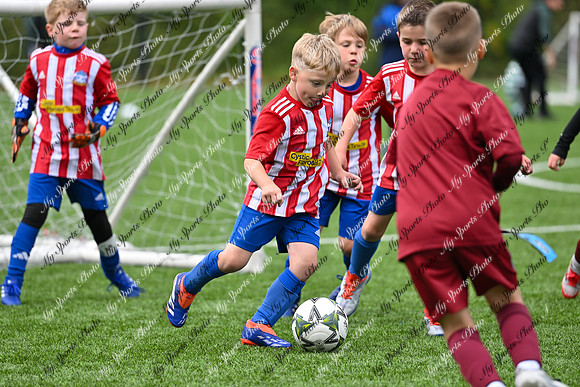 Loughgall U7's Toutnament 2025-593