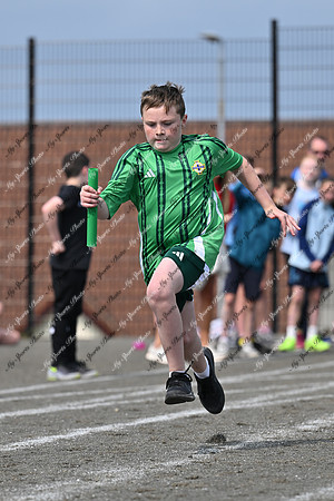 Tandragee PS-337