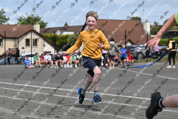 Tandragee PS-193