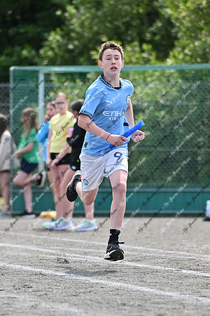 Tandragee PS-349
