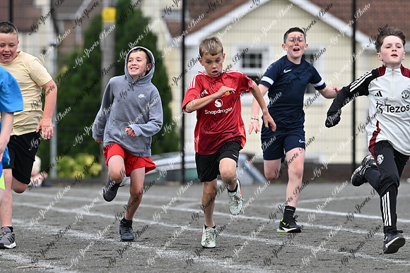 Tandragee PS-108