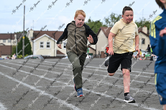 Tandragee PS-113
