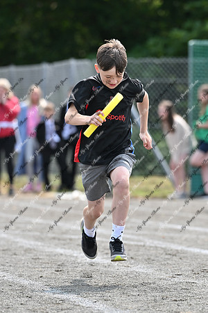 Tandragee PS-350