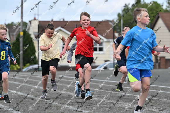 Tandragee PS-111