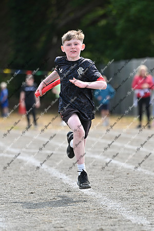 Tandragee PS-354