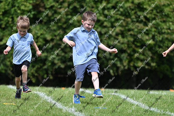 Poyntzpass PS-412
